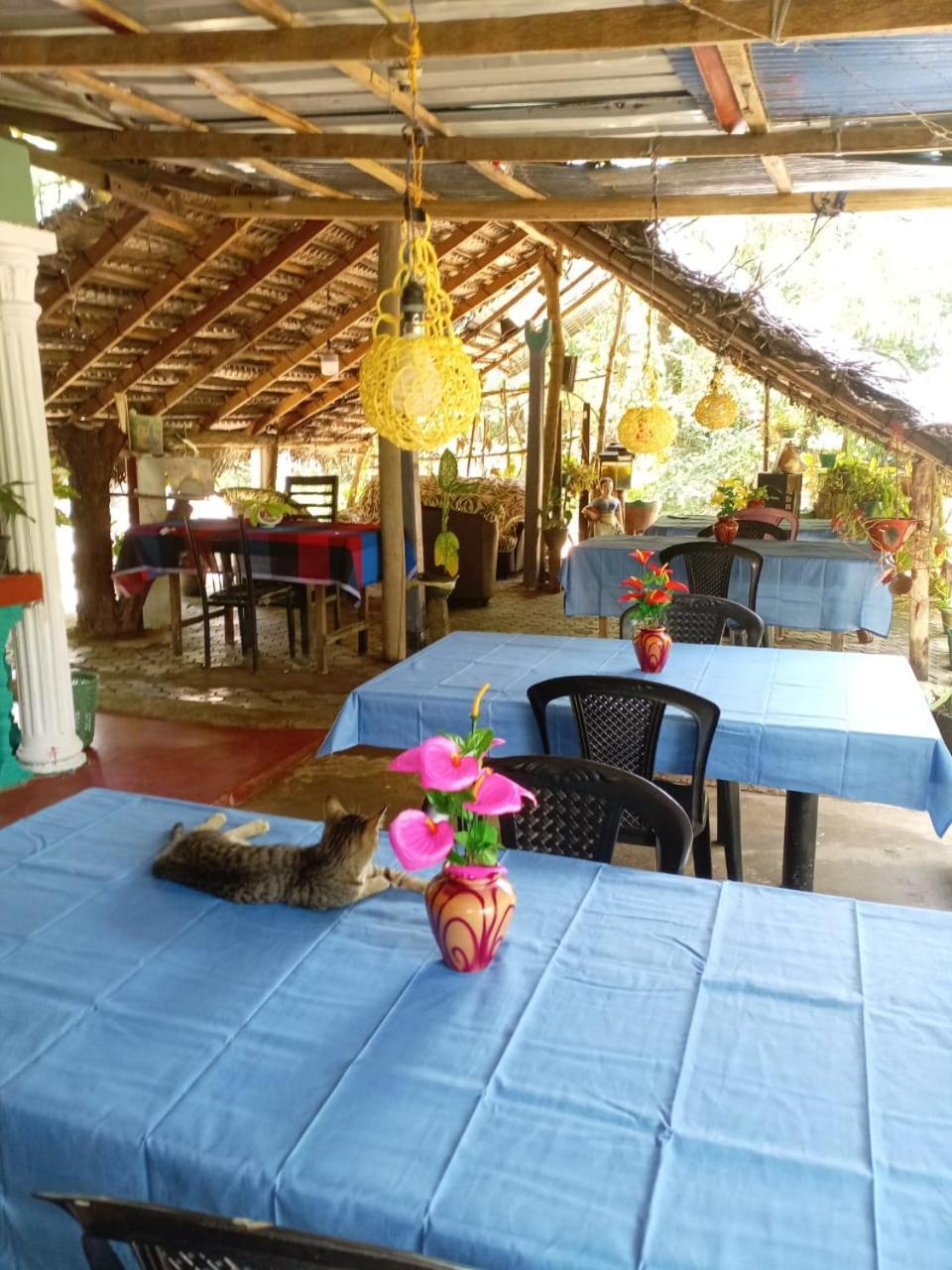 Near The Canal Homstay สิกิริยา ภายนอก รูปภาพ
